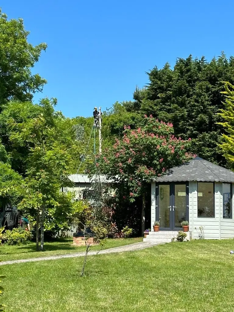 Baumarbeiten über einem blühenden Hausgarten mit weißer Gartenlaube