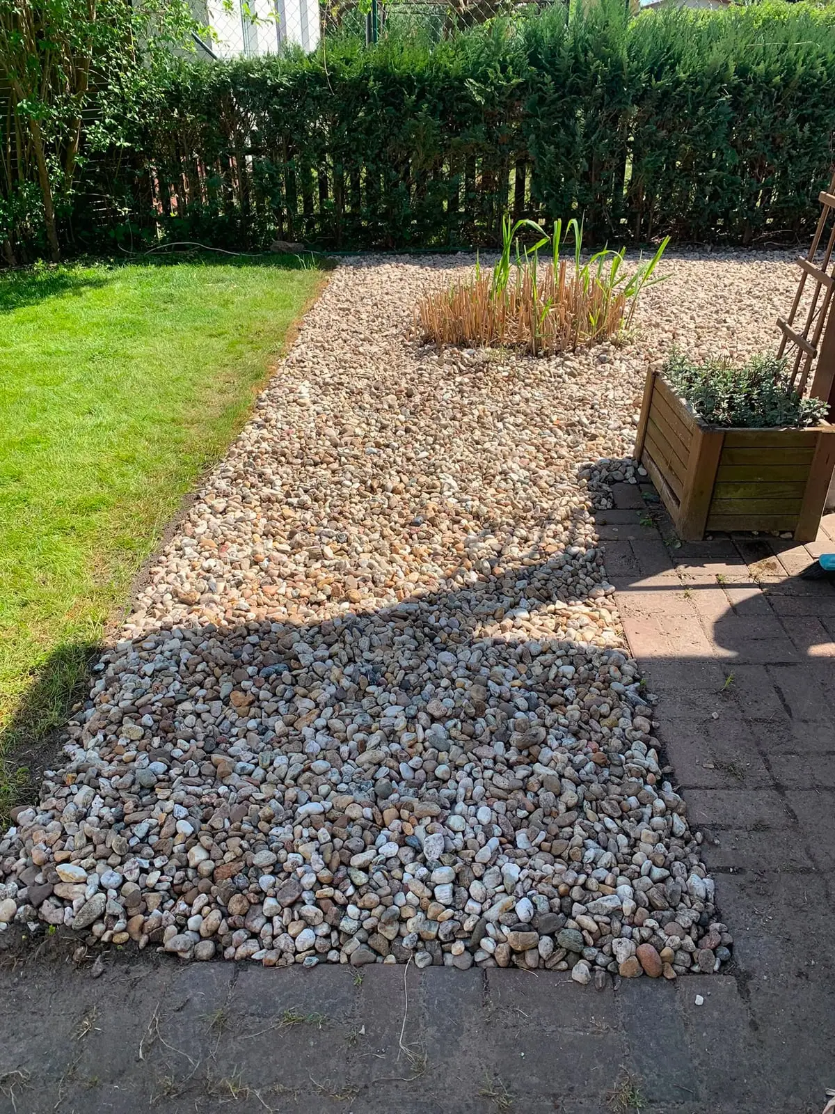 Neu angelegte Kiesfläche mit sauberer Rasenkante und geschnittener Hecke im Hintergrund