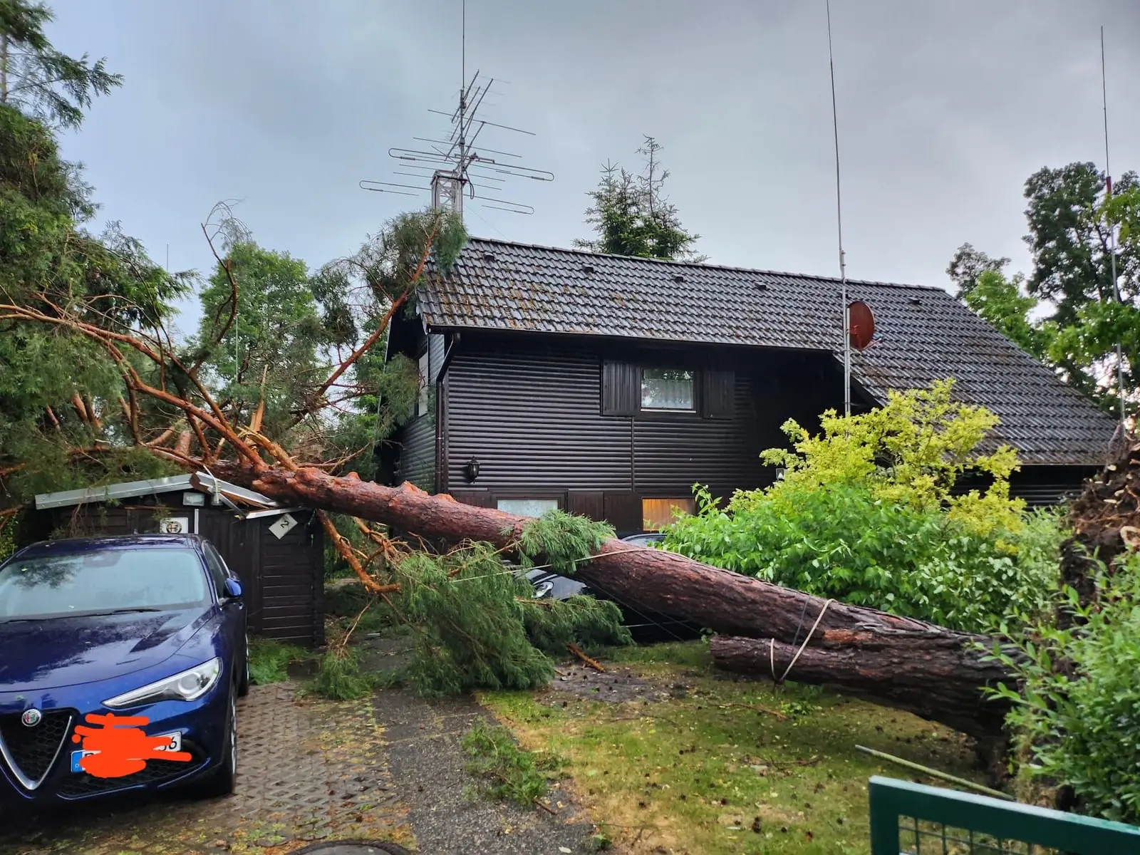 Vom Sturm umgeworfene Kiefer liegt quer über Dach, Auto und Einfahrt eines Wohnhauses